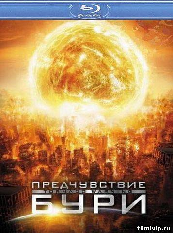 Предчувствие бури (2012)