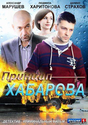 Принцип Хабарова (2013)