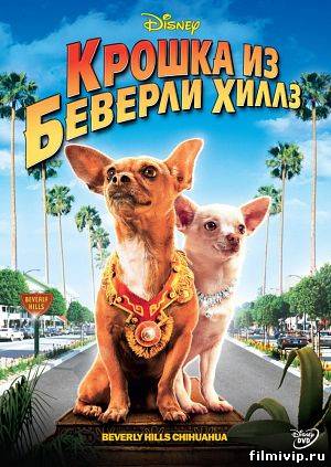 Крошка из Беверли-Хиллз  2008