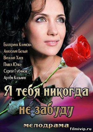 Я тебя никогда не забуду (2013)