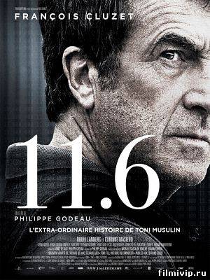 11.6 (2013)