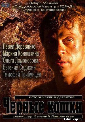 Черные кошки (2013)