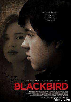 Чёрный дрозд /  Blackbird (2012)