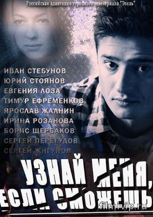 Узнай меня, если сможешь (2014)