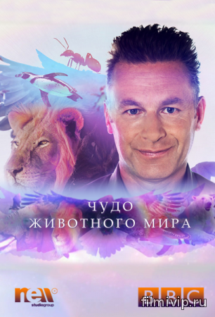 Чудо животного мира (2014)