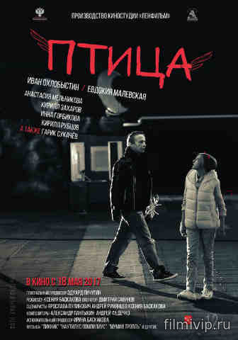 Птица (2017)