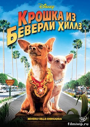 Крошка из Беверли-Хиллз (2008)