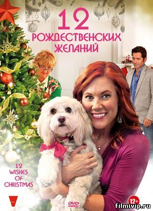 12 Рождественских желаний (2011)