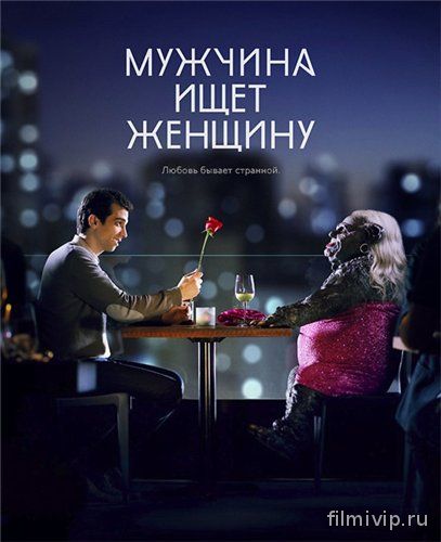 Мужчина ищет женщину (2015)